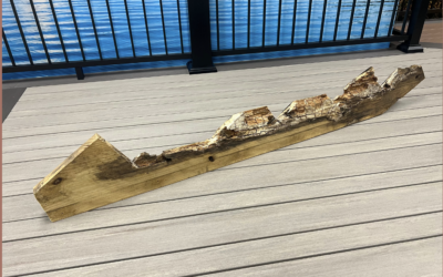 Deck Safety Month: Is Your Deck Safe and Ready for Summer?